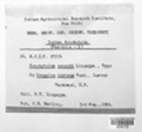 Synchytrium oroxyli image